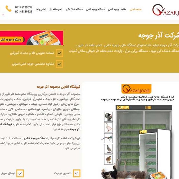 طراحی سایت فروشگاه اینترنتی آذرجوجه